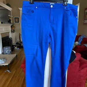 Crown & Ivy Blue Pants